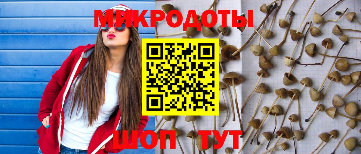 Псилоцибиновые грибы GOLDEN TEACHER Горячий Ключ