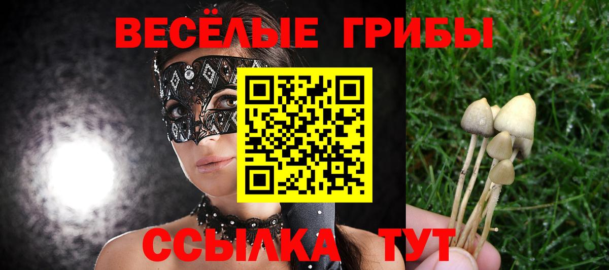Псилоцибиновые грибы Cubensis  Вход с VPN  Горячий Ключ 